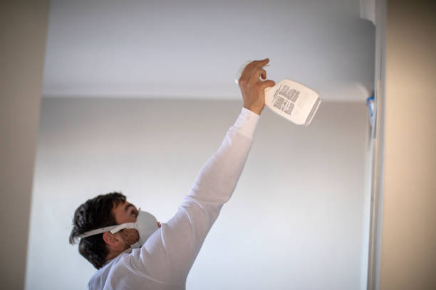 Best Mold Testing  in Fowler, CA