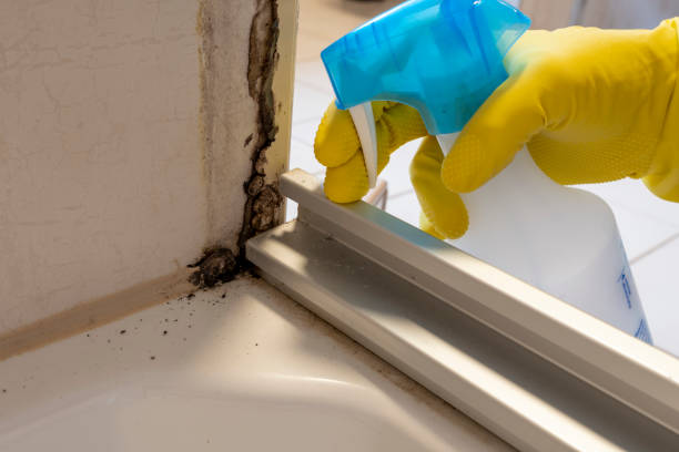 Best Professional Mold Removal  in Fowler, CA
