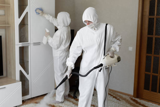 Professional Mold Removal in Fowler, CA