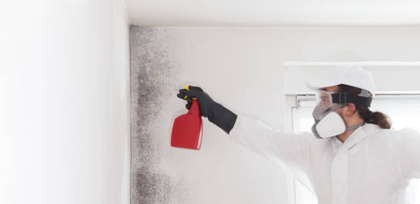 Best Mold Damage Repair  in Fowler, CA